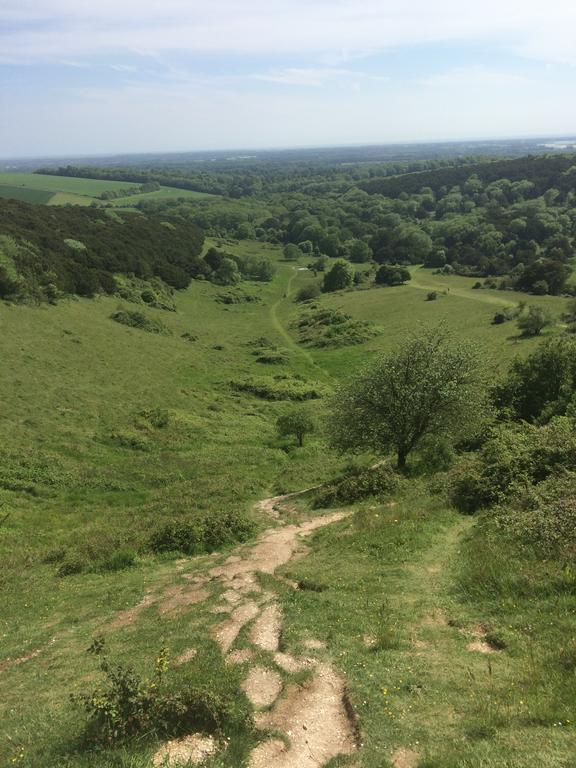 Shepherds Barn West Dean ภายนอก รูปภาพ
