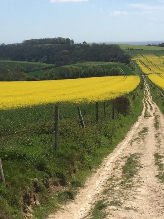 Shepherds Barn West Dean ภายนอก รูปภาพ